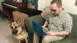 staff member typing on laptop next to service dog